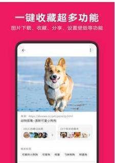 图搜搜