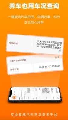 车况查询完整版截图2