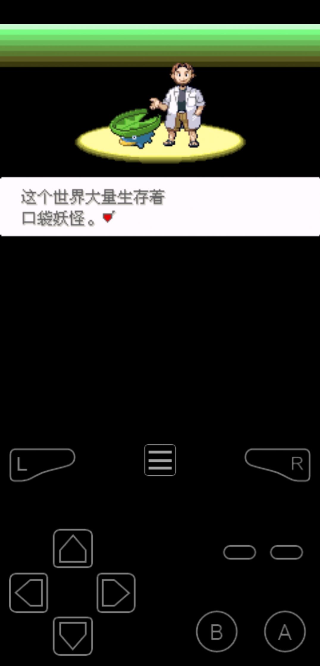 口袋妖怪