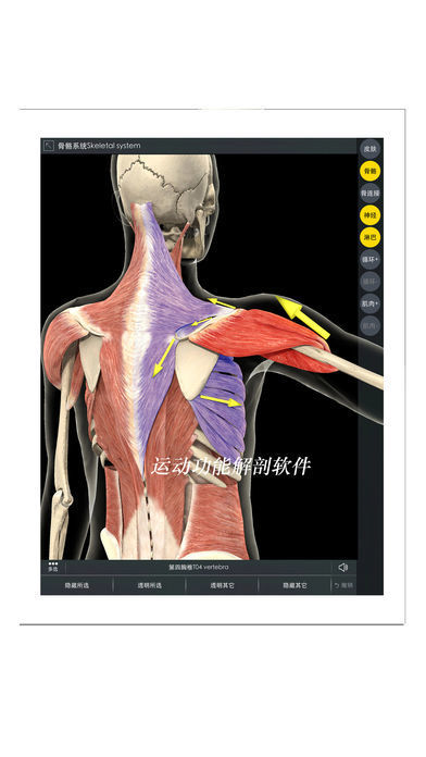 3DBody网页版截图3