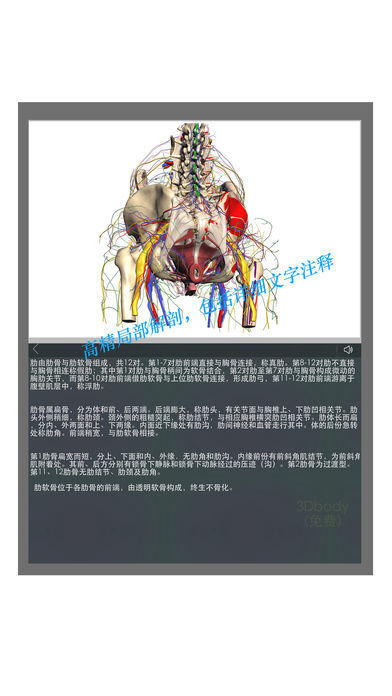 3DBody网页版截图4