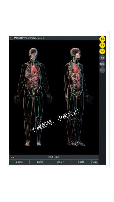 3DBody网页版截图5