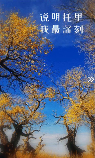 托里好地方安卓版截图2